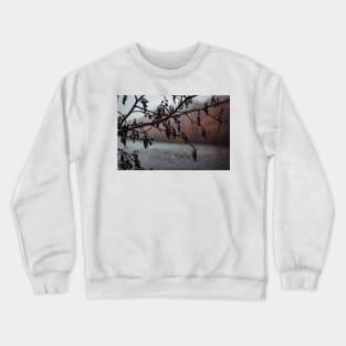 Rainy day in the forest - Clumber Park Crewneck Sweatshirt